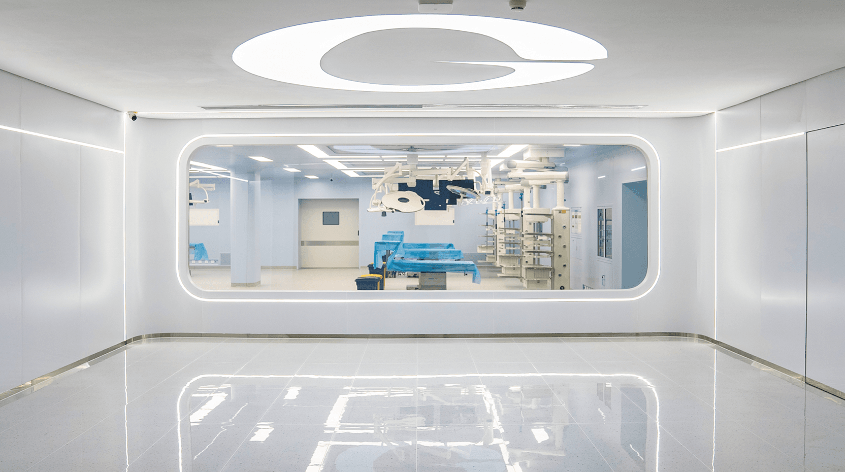 Wuhan Optics Valley's 'Tech Tree' Nurtures Breakthroughs in OLED, Medical Devices, and Biotechnology