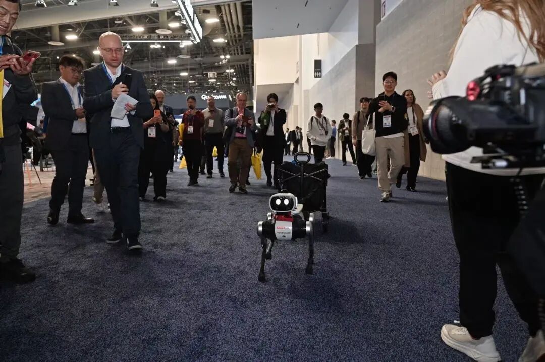Vbot’s Autonomous “Tremendous Robotic Canine” Debuts at CES, World Launch Set for Q2 2 IMG_4611.jpeg