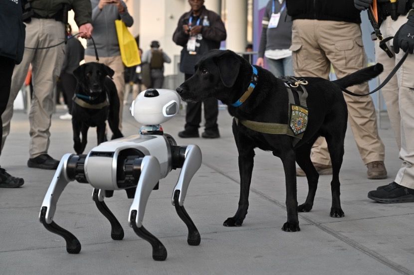Vbot’s Autonomous “Tremendous Robotic Canine” Debuts at CES, World Launch Set for Q2 1 IMG_4615.jpeg