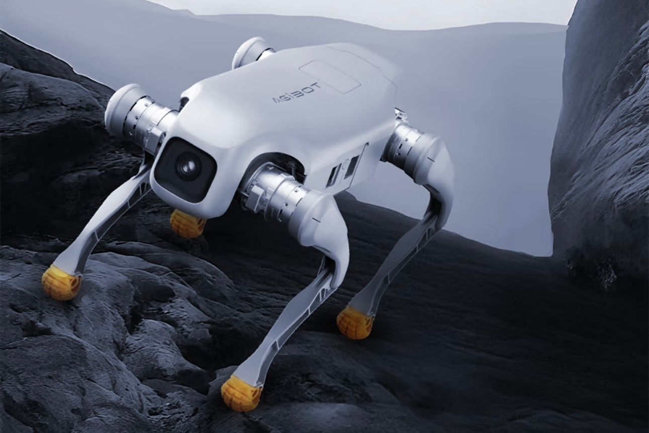 Kuotuo D1 series robot