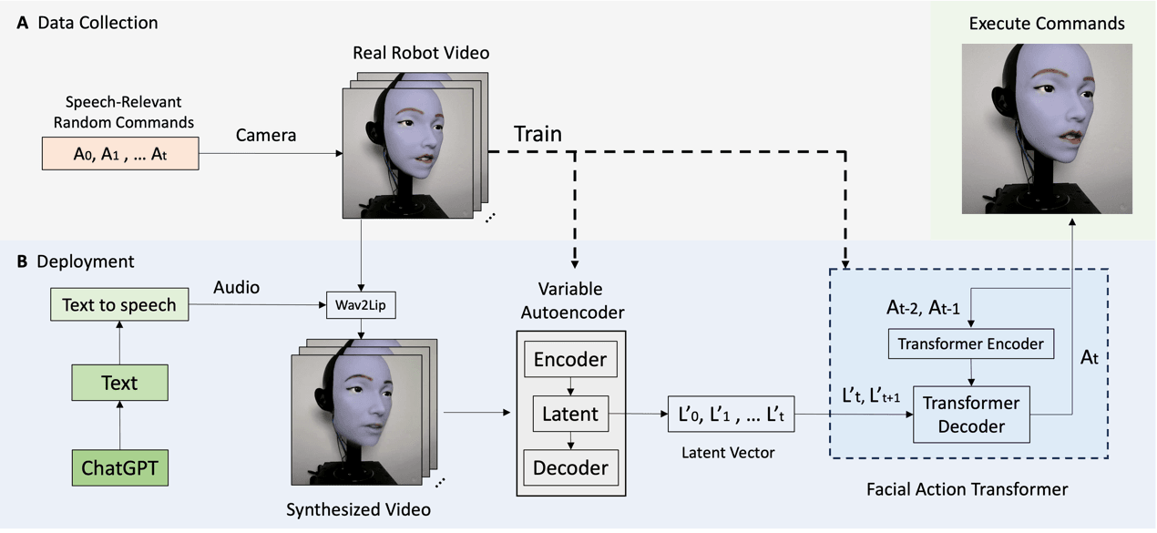Bionic Facial Robotic Analysis Makes Science Robotics Cowl, Achieves Exact AI-Pushed Lip Synchronization 2 U航3.png