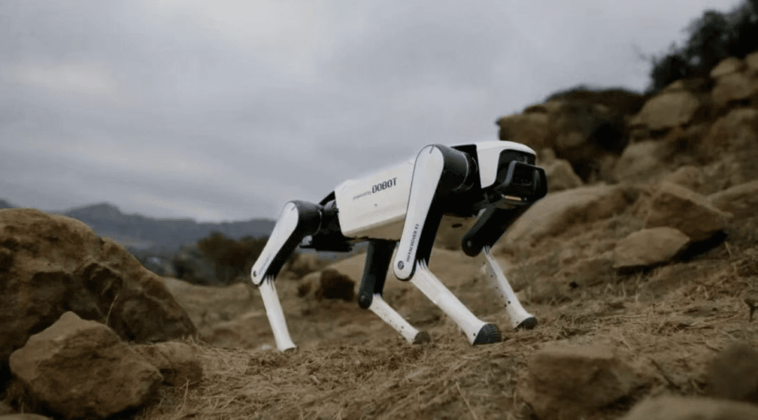 Lens Technology Wins Order for 10,000 Robot Dogs