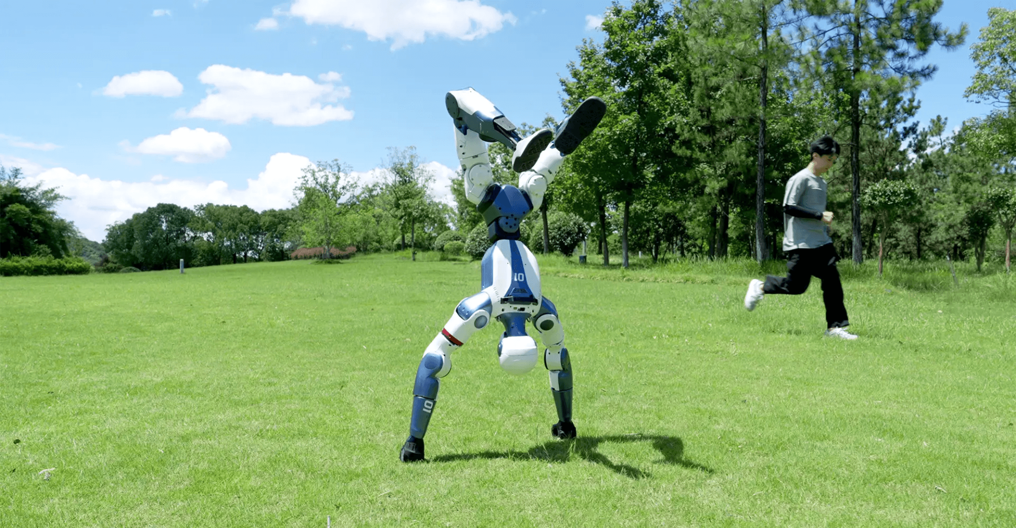 Unitree-Alibaba AliExpress Global Partnership